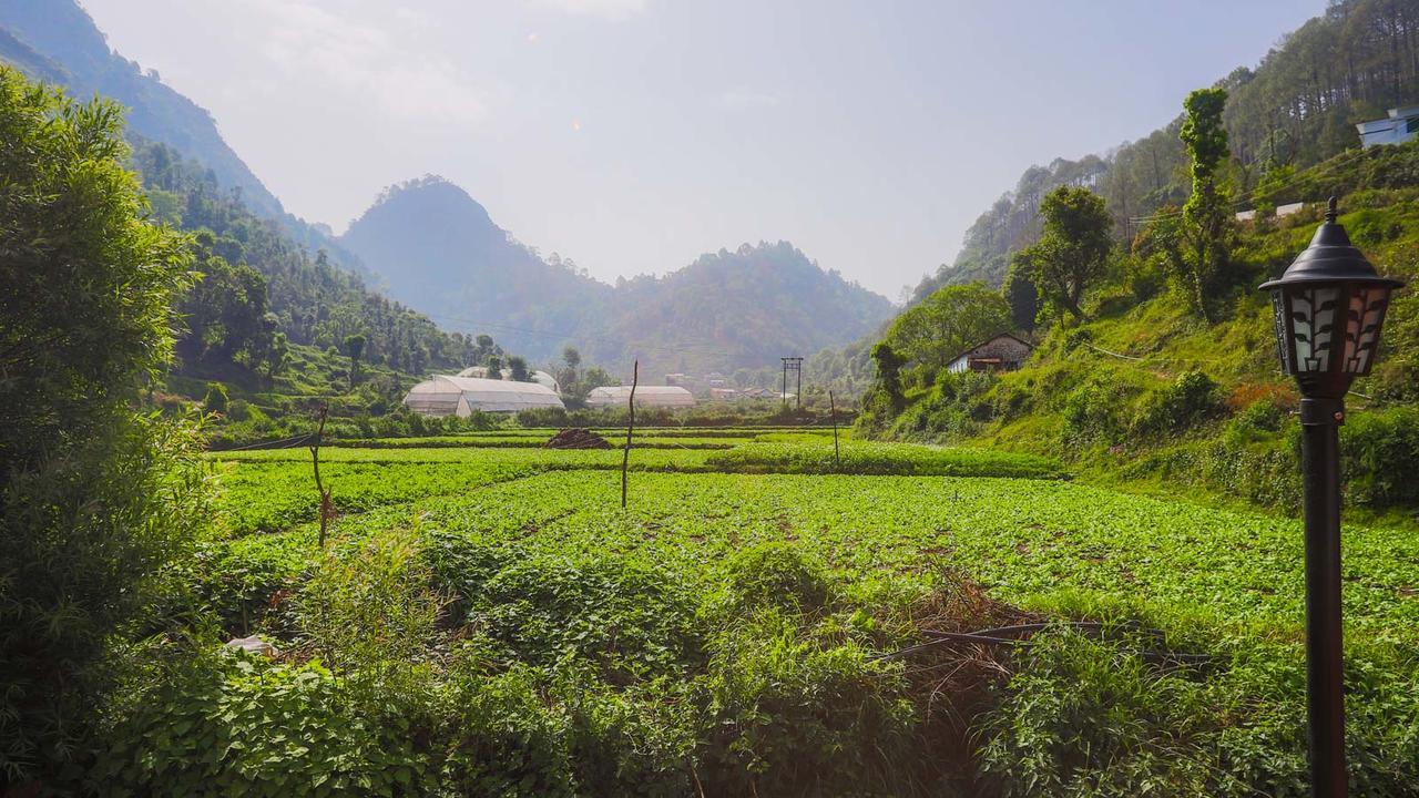The Jungle Pool By Beyond Stay Nainital Ngoại thất bức ảnh