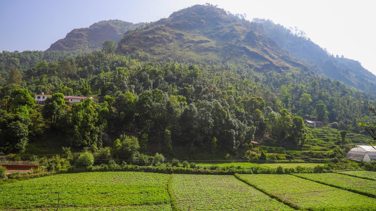The Jungle Pool By Beyond Stay Nainital Ngoại thất bức ảnh
